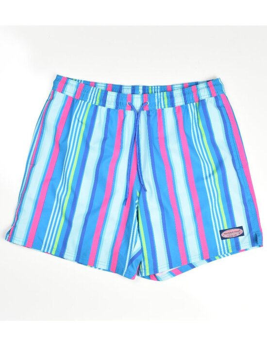Vineyard Vines Other - Men's Vineyard Vines Stripe Swim Trunks 7" - M